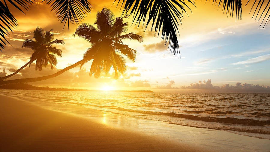 Tropical Beaches Desktop Wallpaper HD